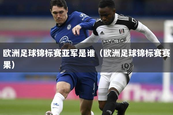 欧洲足球锦标赛亚军是谁(欧洲足球锦标赛赛果)