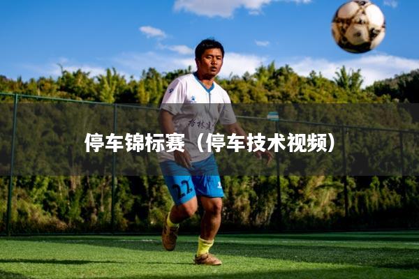 停车锦标赛(停车技术视频)