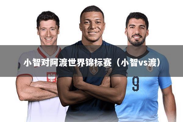 小智对阿渡世界锦标赛（小智vs渡）