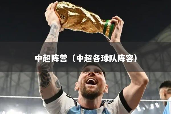 中超阵营（中超各球队阵容）