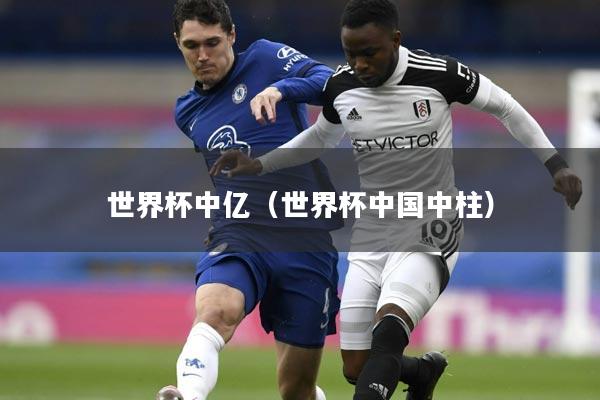世界杯中亿（世界杯中国中柱）