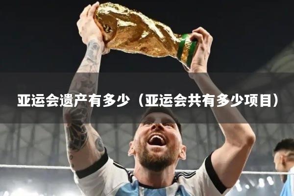 亚运会遗产有多少（亚运会共有多少项目）