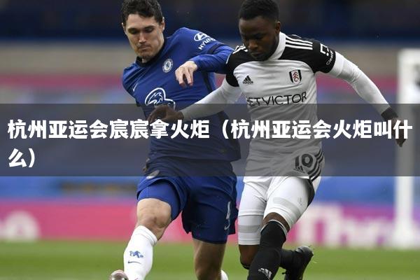 杭州亚运会宸宸拿火炬(杭州亚运会火炬叫什么)