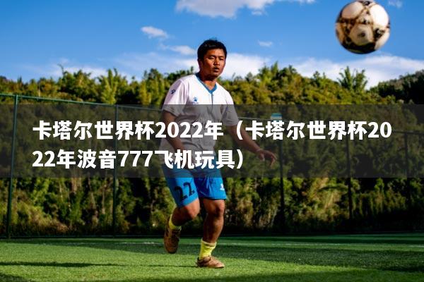 卡塔尔世界杯2022年（卡塔尔世界杯2022年波音777飞机玩具）