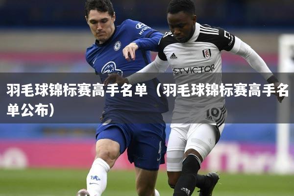 羽毛球锦标赛高手名单（羽毛球锦标赛高手名单公布）