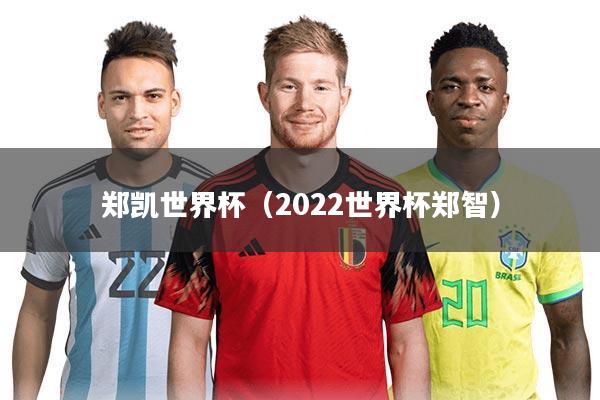 郑凯世界杯(2022世界杯郑智)