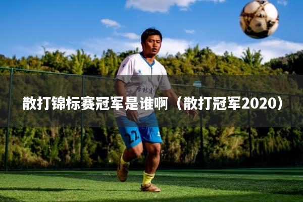 散打锦标赛冠军是谁啊（散打冠军2020）