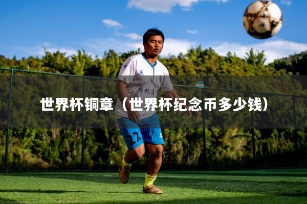 世界杯铜章(世界杯纪念币多少钱)