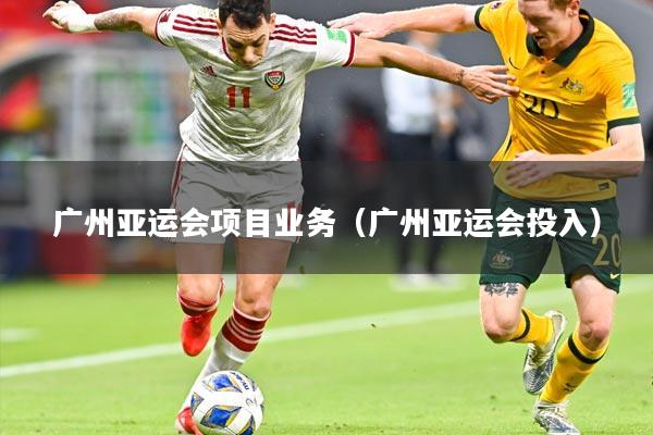 广州亚运会项目业务（广州亚运会投入）