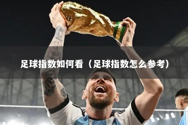 足球指数如何看（足球指数怎么参考）