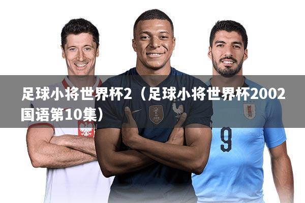 足球小将世界杯2（足球小将世界杯2002国语第10集）